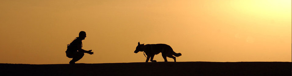 'A boy and his dog' by Matthew Hannen