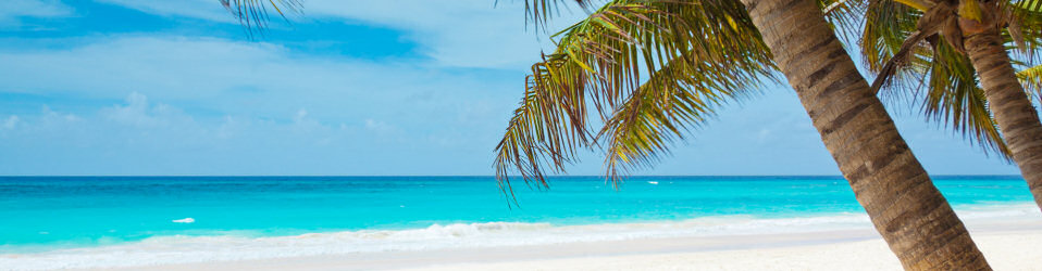 'Tropical paradise' by Petr Kratochvil