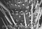 This scanning electron micrograph (SEM) depicted a