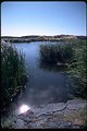 Along the shoreline of Batch Lake in the Jordan Craters Wilderness Study Area.  OR 3-128