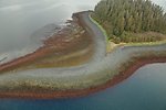  Aerial photograph. A small heart-shaped island at Port Chalmers showing the color banding of various bands of marine and terrestrial flora. 