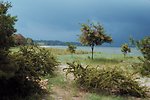  A storm is brewing on the lower Patuxent River.  Shoreline includes sand, grass, and brush. 