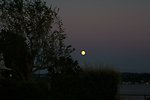  Moonrise over Tacoma as seen from Point Fosdick. 