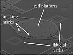 Microelectromechanical system (MEMS)
