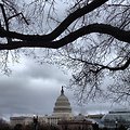 Rainy morning on Capitol Hill. #dc