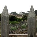  The Point Pinos Lighthouse bracketed between fence posts on the Asilomar Dunes. 