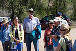 Colorado Rare Plant Conservation Initiative