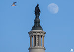 Statue of Freedom Moonrise