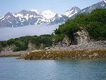  Kukak Bay at about half-tide as indicated by image line4994. zonation of algae species showing on far bank of tidal inlet. 