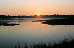 A new day awakens in the marsh