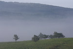 Middle Valley Mist