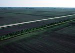 A living snowfence in northwest Iowa slows soil er