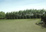 Windbreak to reduce soil erosion from wind.