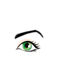 Illustration of an eye