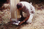 This CDC field researcher is removing a mosquito f
