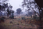 This 1968 photograph showed the terrain outside of