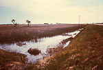 This 1974 photograph depicted a 'borrow pit' along