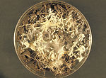 This image shows a soil hair plate culture growing