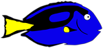 hippo tang
