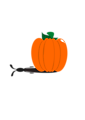 rabbit pumpkin
