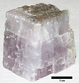 Calcite containing Niobium (giving it distinctive bluish color), from Medford Quarry, Caroll County, Maryland. Collected 2002. Scale bar is 1 cm.