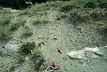 Spent shotgun shells found at a  target practice area in the Acton Recreation Area