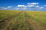 OHV Trail across grassland 40 miles north of Belle Fourche