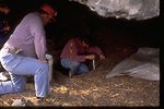 Archeologist examines rockshelter at Fishtrap Management Area, Washington.  