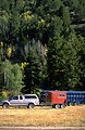Pickup and horse trailer with forest in background