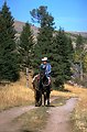 Horse man leading a pack horse in the Centennial Mountains