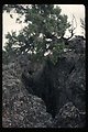 Hells Half Acre  Lichen on rocks  Wilderness  Idaho Falls Field Office  USRD  Upper Snake River District