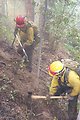 Line crew  Fire  Clearwater Fire  Salmon Field Office  USRD  Upper Snake River District