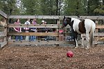 Sage, a wild horse from the Paisley Wild Horse Herd Management area in Oregon, eyes potential adopters throught the corral fence.