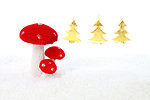 Christmas mushroom