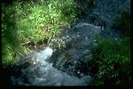 Stream at the north end of Steens.