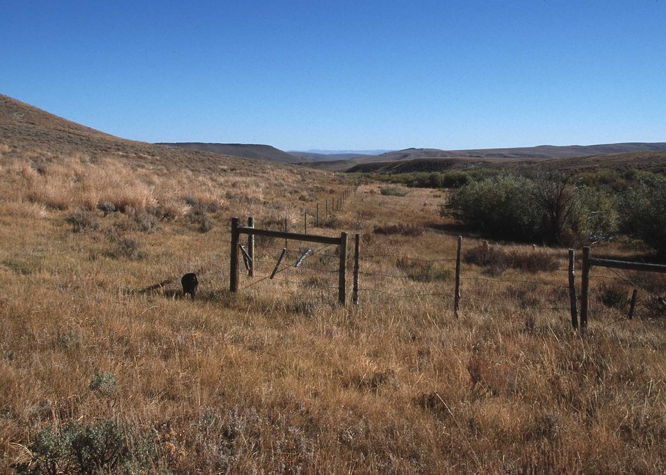 Cross-fencing for a rotational grazing system.