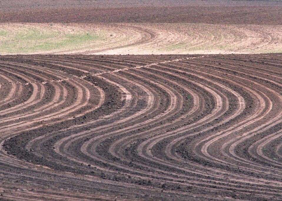 Contour farming and terraces, Tombs, County, Georgia.