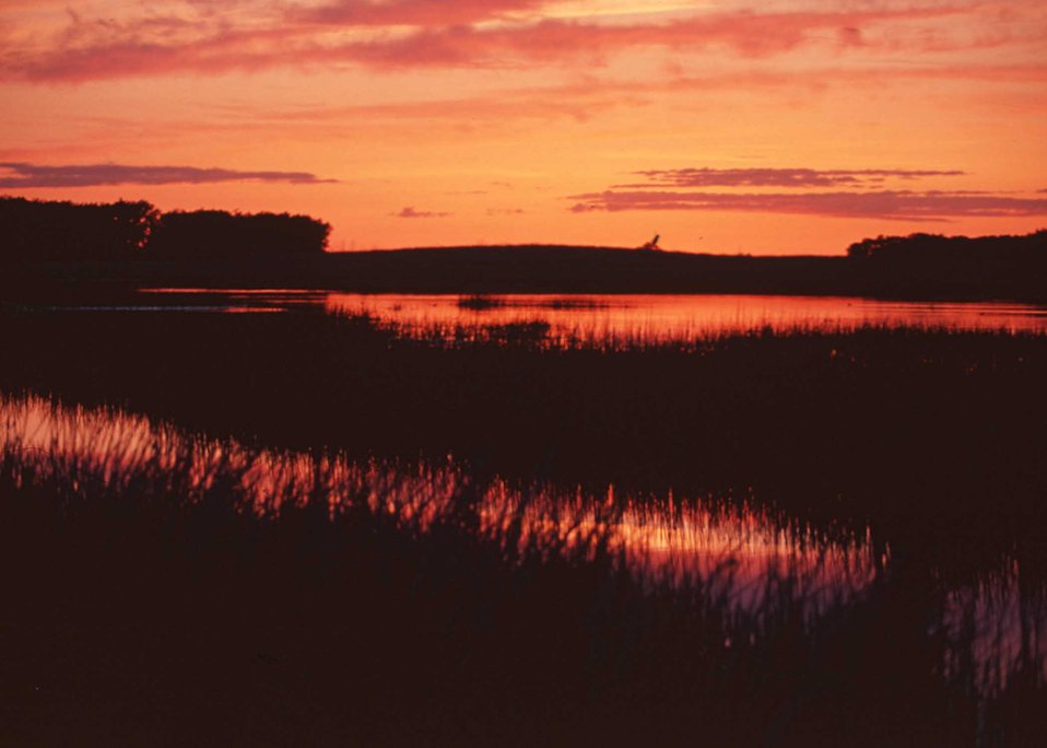 Sunset in the prairie pothole region of eastern South Dakota.