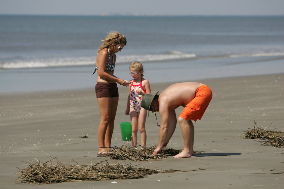 A family on the beach