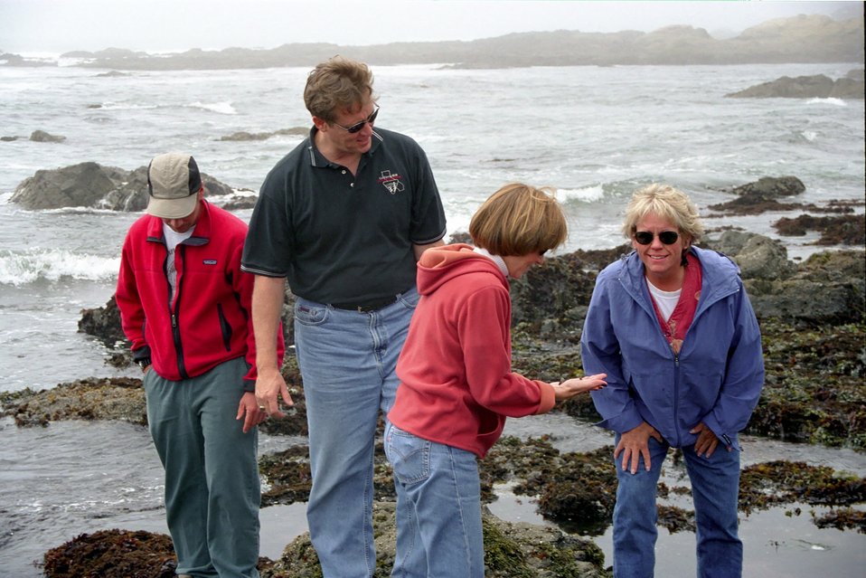 No Image Description Available