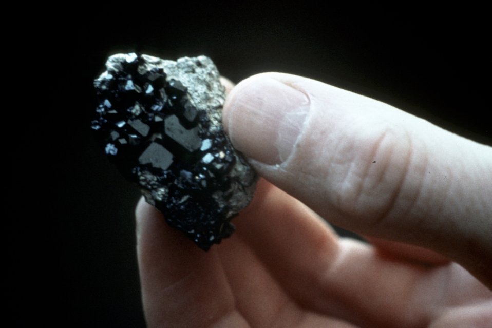 No Image Description Available