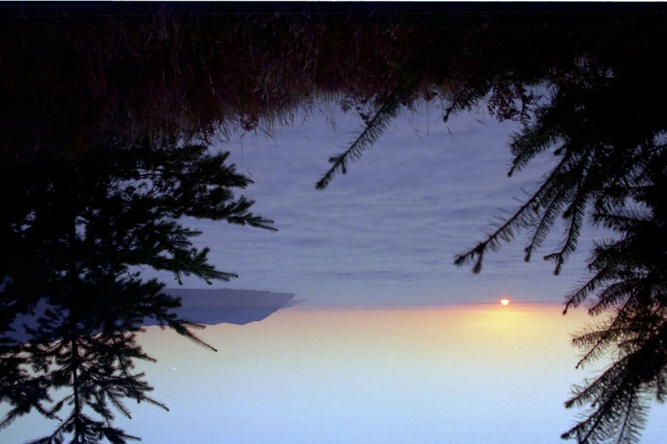 No Image Description Available