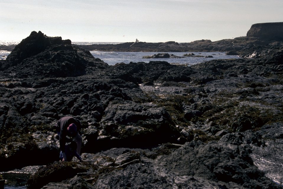 No Image Description Available