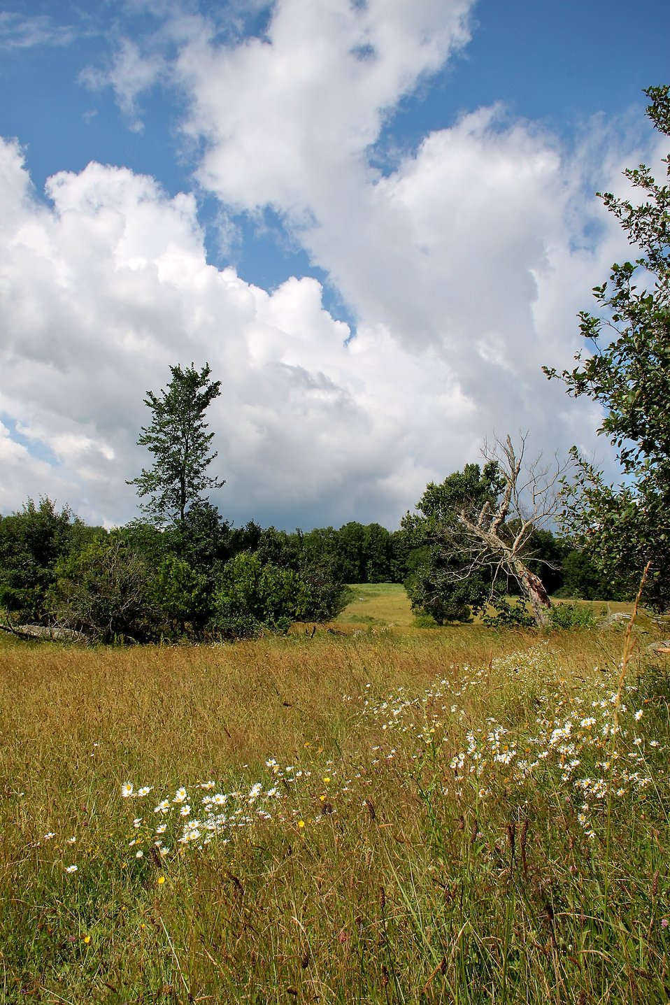 Eagle Point Unit (5)