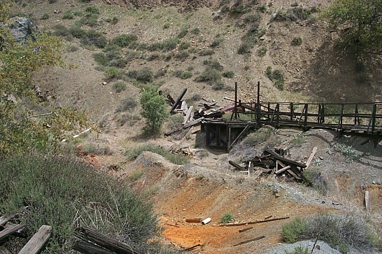 No Image Description Available