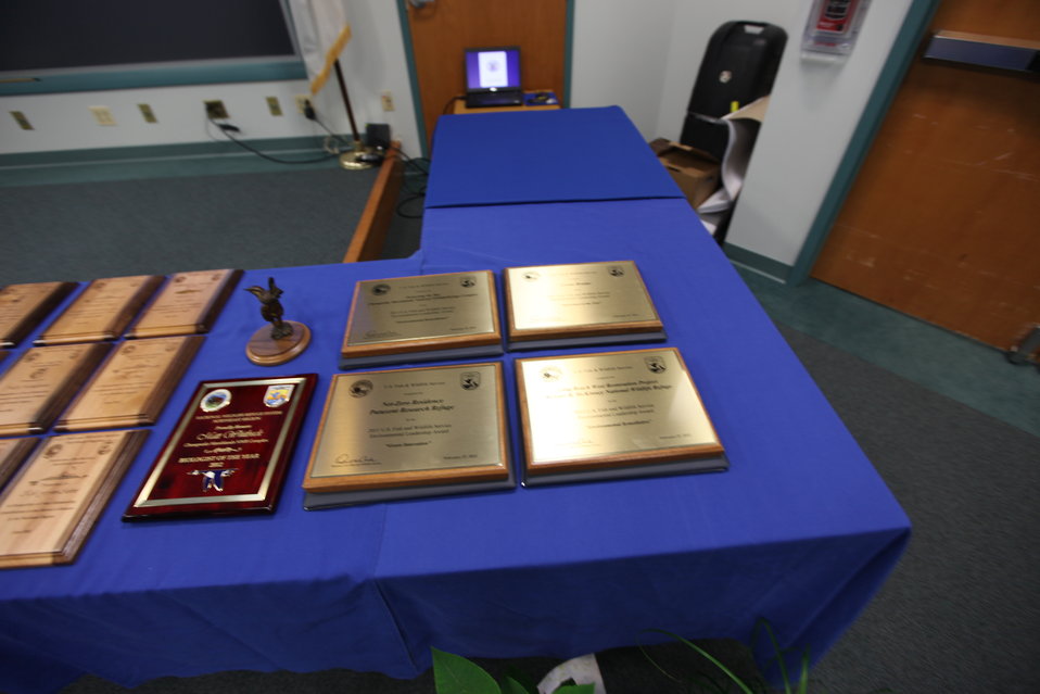 Public Domain Picture | Northeast Region Employee Appreciation Awards ...