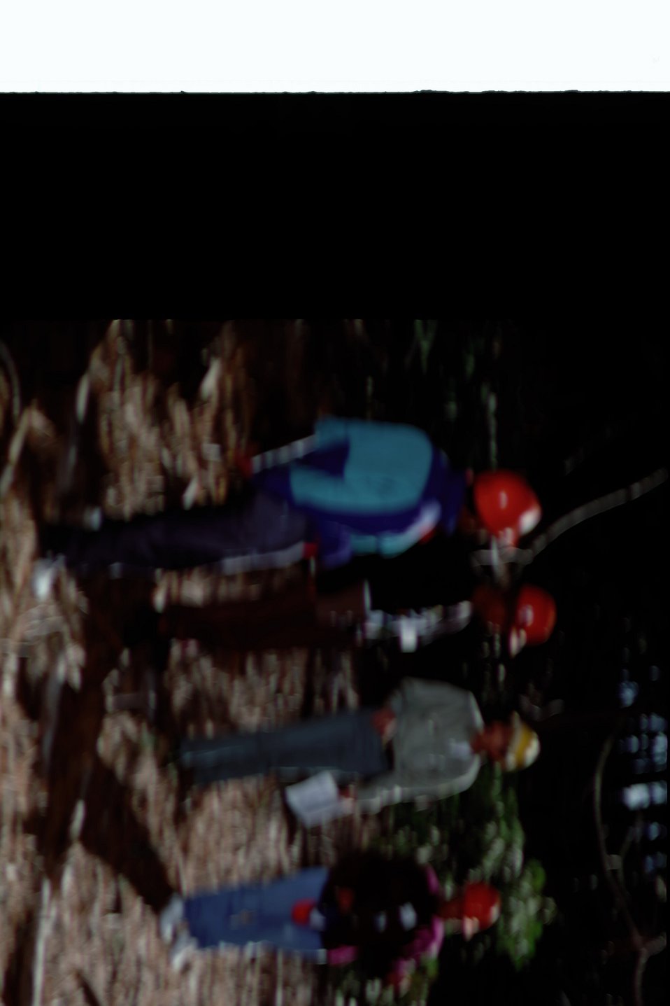 No Image Description Available