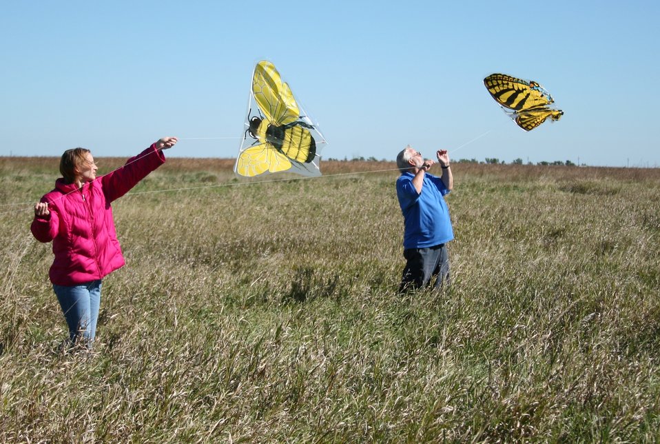 Visitors Fly Kites