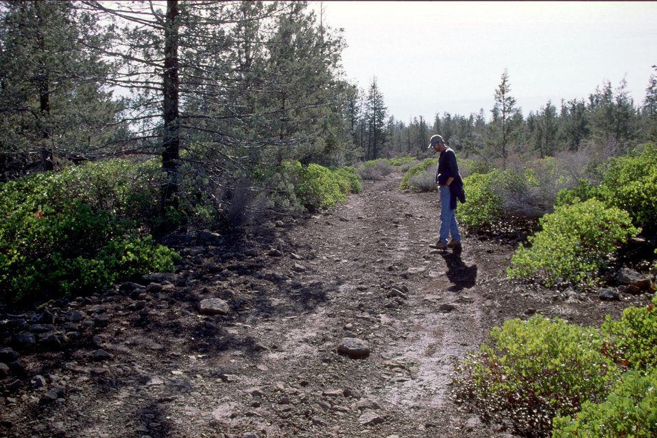 No Image Description Available