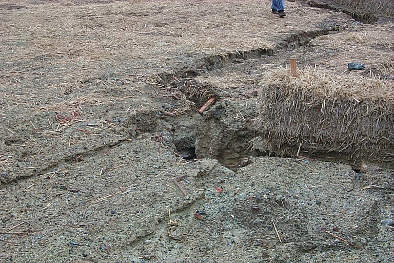 No Image Description Available